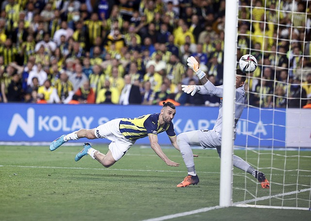 安全性与舒 安全性与舒