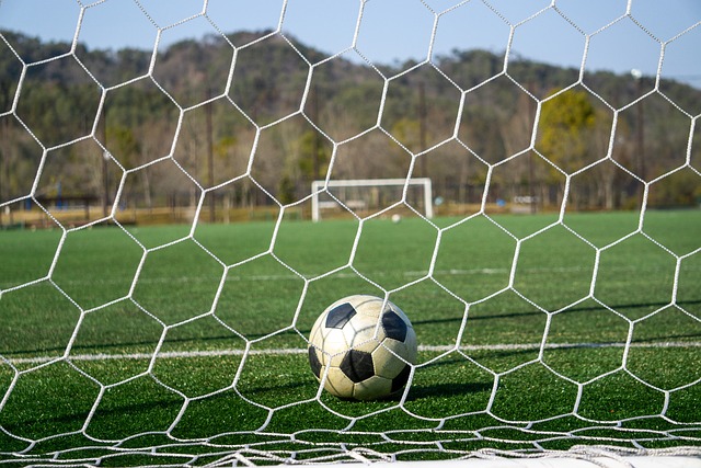 排名第二的 排名第二的