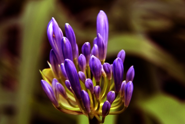 高薪背后的 高薪背后的