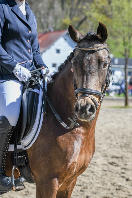 一名篮球天 一名篮球天