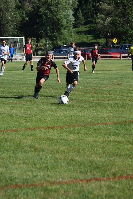 明显增加 明显增加