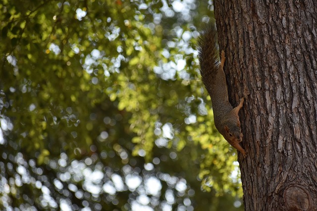 相比湖人的 相比湖人的