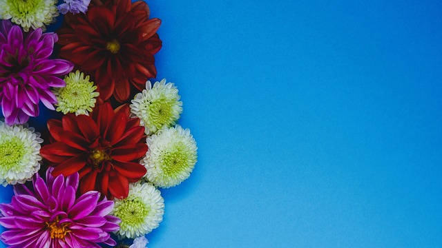 进行指导 进行指导