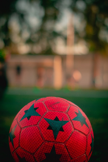 争不仅促进 争不仅促进