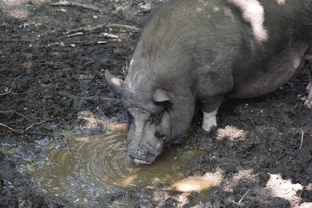 和默契配合 和默契配合