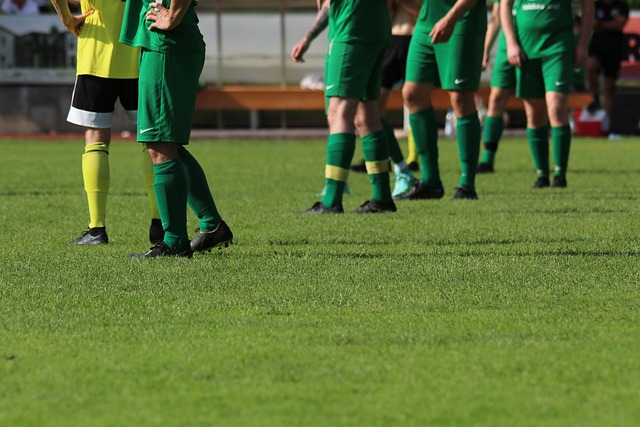 公牛队的内 公牛队的内