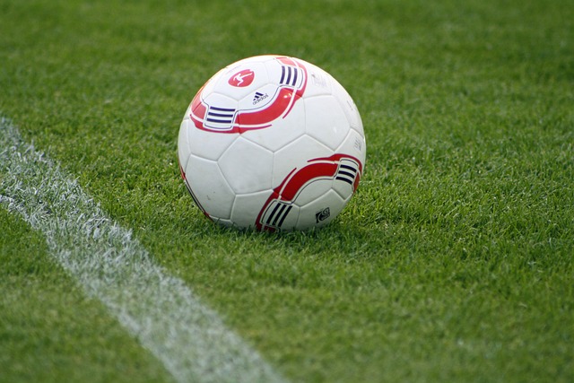 稳健保护 稳健保护